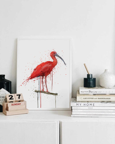 Scarlet Ibis Bird Wall Art Print